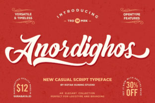 Anordighos: The Playful Font That Made My Brand Pop