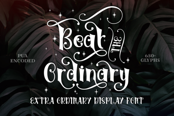 Beat the Ordinary: A Display Font That Made My Brand Pop