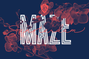 Sansterdam Maze: A Bold Display Font for Memorable Brands