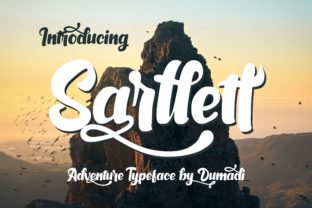 Sarllett: A Charming Display Font for Crafters and Makers