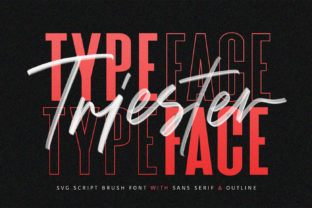 Triester: A Display Font That Makes Small Brands Stand Out